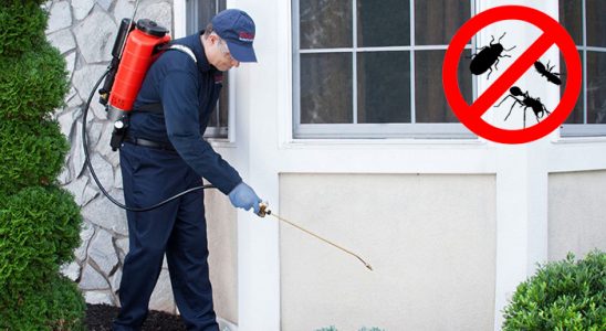 Kurtalan Pire İlaçlama böcek ilaçlama ve haşere kontrolü — ilaclama-tr.com